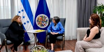 Consejera electoral será designada embajadora de Honduras ante la OEA