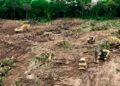 Gobierno de Bukele ajusta narrativa por tala de árboles en proyecto financiado por China en El Salvador
