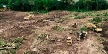 Gobierno de Bukele ajusta narrativa por tala de árboles en proyecto financiado por China en El Salvador