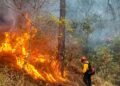 Guatemala supera los 1,400 incendios en 2026 y mantiene 24 focos activos en varias regiones