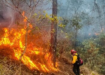 Guatemala supera los 1,400 incendios en 2026 y mantiene 24 focos activos en varias regiones