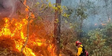 Guatemala supera los 1,400 incendios en 2026 y mantiene 24 focos activos en varias regiones