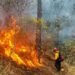 Guatemala supera los 1,400 incendios en 2026 y mantiene 24 focos activos en varias regiones