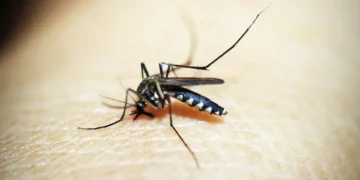 Costa Rica reporta 38 casos de malaria en lo que va del 2026