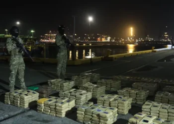Panamá incautó más de 2,300 paquetes de droga en solo dos días en operativos en tres zonas del país