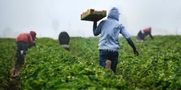 Latinos sostienen el 39% de la fuerza laboral en California, pero ganan hasta 38% menos que otros grupos