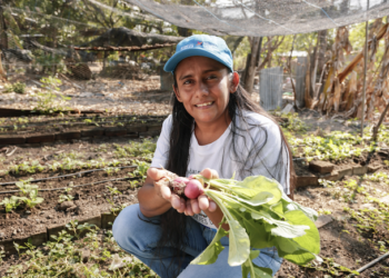Mujeres rurales impulsan agricultura resiliente en frontera común entre Guatemala, El Salvador y Honduras