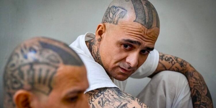 Gobierno de El Salvador continúa divulgando perfiles de cabecillas del Barrio 18 durante juicio masivo contra pandillas