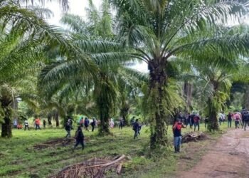 Masacre de 20 personas destapa la guerra criminal por el control del Bajo Aguán en Honduras