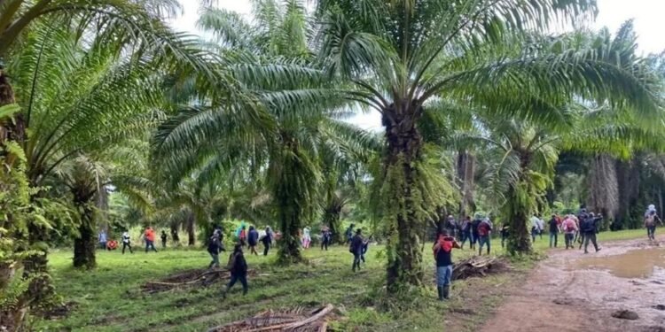Masacre de 20 personas destapa la guerra criminal por el control del Bajo Aguán en Honduras