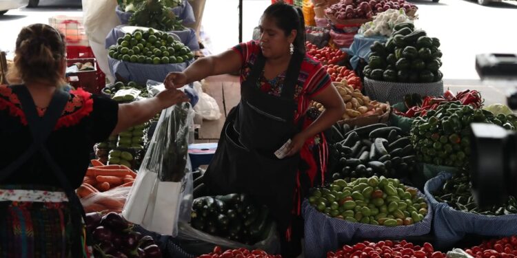 Papa, cebolla y zanahoria lideran alzas en Guatemala: verduras aumentan hasta 40% por las lluvias