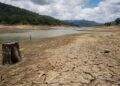 Guatemala enfrentará hasta 30% menos lluvia y temperaturas 0.7 °C más altas por El Niño