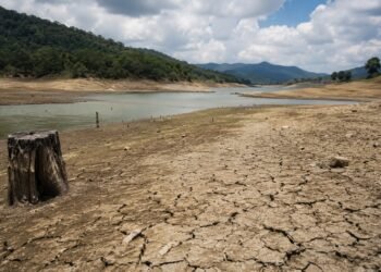 Guatemala enfrentará hasta 30% menos lluvia y temperaturas 0.7 °C más altas por El Niño