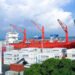 Las exportaciones de Nicaragua a China caen más de 50 % y representan solo el 1.4% del total