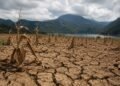 Guatemala enfrentará hasta 30% menos lluvia y temperaturas 0.7 °C más altas por El Niño