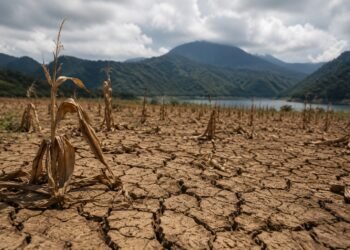 Guatemala enfrentará hasta 30% menos lluvia y temperaturas 0.7 °C más altas por El Niño