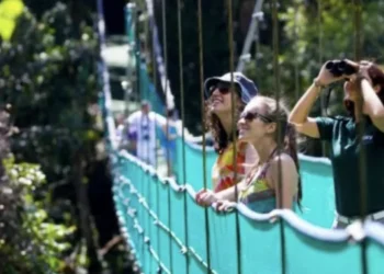 La cantidad de turistas de Canadá en Costa Rica ha aumentado 26.5 % en 5 meses