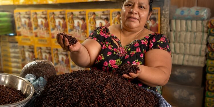 Guatemala y los zompopos de mayo: el manjar ancestral que regresa con las lluvias y alcanza precios de lujo