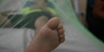 El Salvador supera los 100 casos sospechosos de dengue y confirma la primera muerte del año