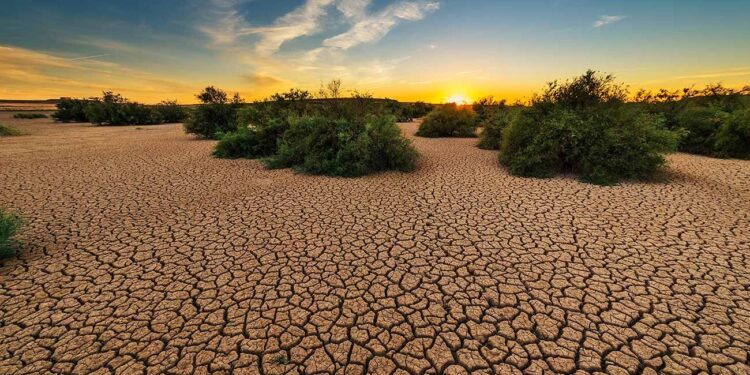 Récord histórico de calor en 2027: el fenómeno de El Niño podría ser devastador para Centroamérica