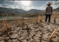 El Niño amenaza a Centroamérica: FAO alerta que más del 50 % del Corredor Seco enfrenta riesgo de sequía y hambre