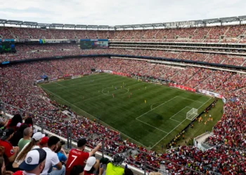 La FIFA vende por pedazos de colección el césped de la final del Mundial
