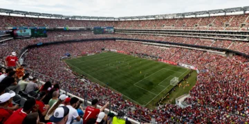 La FIFA vende por pedazos de colección el césped de la final del Mundial