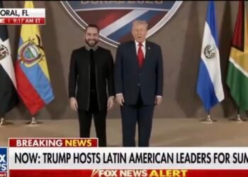 Trump y Bukele sostienen reunión privada en la Casa Blanca y refuerzan su alianza entre Estados Unidos y El Salvador