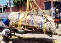 Hallan osamenta de hace casi 2,900 años en zona urbana de El Salvador durante excavaciones arqueológicas