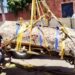 Hallan osamenta de hace casi 2,900 años en zona urbana de El Salvador durante excavaciones arqueológicas