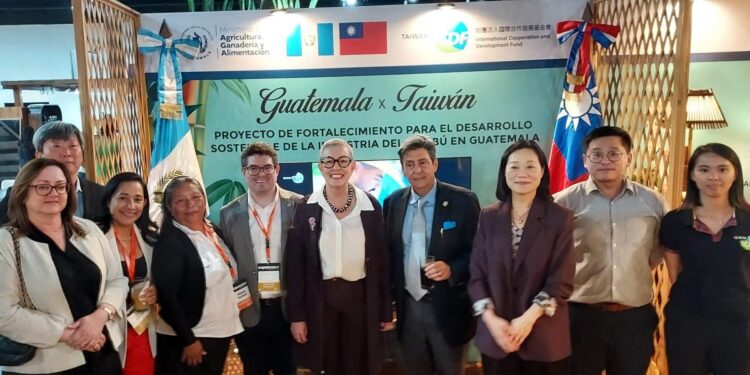 Taiwán fortalece la industria del bambú en Guatemala con cooperación para el desarrollo sostenible