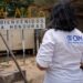 Más de 23,900 migrantes retornaron a Honduras durante el primer semestre de 2026