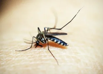 Costa Rica reporta 57 casos de malaria en lo que va del 2026