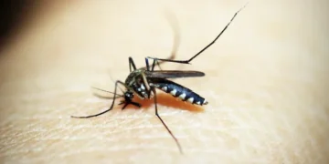 Costa Rica reporta 57 casos de malaria en lo que va del 2026