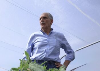 Hondureños reprueban gestión de Asfura: 3.82 de calificación
