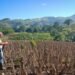 Guatemala podría recibir hasta un 30% menos de lluvia por El Niño en 2027