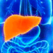 Consultas por hepatitis crónica aumentaron 31.6 % en Costa Rica durante el primer semestre de 2026