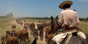 La sequía pone en riesgo más de 700,000 empleos hondureños y ganaderos exigen cambiar la estrategia