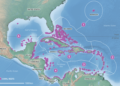 Arrecifes de coral de Centroamérica pierden cobertura rápidamente y ganan macroalgas