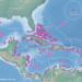 Arrecifes de coral de Centroamérica pierden cobertura rápidamente y ganan macroalgas