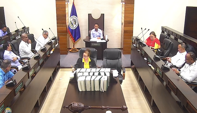 Belice analiza reformas constitucionales y la posible creación de una república
