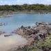 Lago de Güija baja de nivel por la sequía extrema entre El Salvador y Guatemala