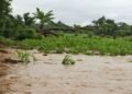 Tres millones de personas sufren el impacto del clima en Guatemala y 123 municipios están en máxima vulnerabilidad