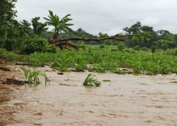 Tres millones de personas sufren el impacto del clima en Guatemala y 123 municipios están en máxima vulnerabilidad