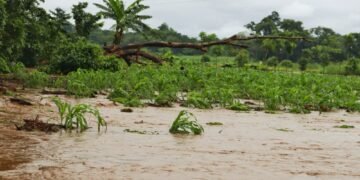 Tres millones de personas sufren el impacto del clima en Guatemala y 123 municipios están en máxima vulnerabilidad