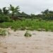Tres millones de personas sufren el impacto del clima en Guatemala y 123 municipios están en máxima vulnerabilidad