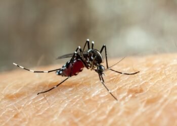 Los casos de dengue aumentan 30 % en Costa Rica