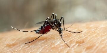 Los casos de dengue aumentan 30 % en Costa Rica