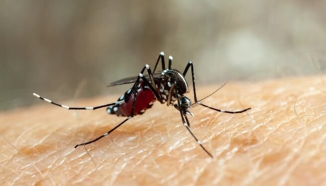 Los casos de dengue aumentan 30 % en Costa Rica