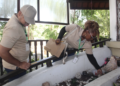 Los casos de dengue disminuyen 32.4 % durante 2026 en Panamá